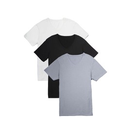 Fishers Finery Men's Tagless V Neck Modal Stretch T-Shirt (Multi, L 3pk)