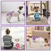 Jollywoods 3 Pack Washable Female Dog Diaper Onesie Sanitary Pantie
