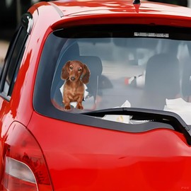 Dachshund Car Sticker, Brown Dachshund Reflective Sticker, 3D Torn Effect, Waterproof, for Car Windows and Bumper (15 cm/5.9 Inches)