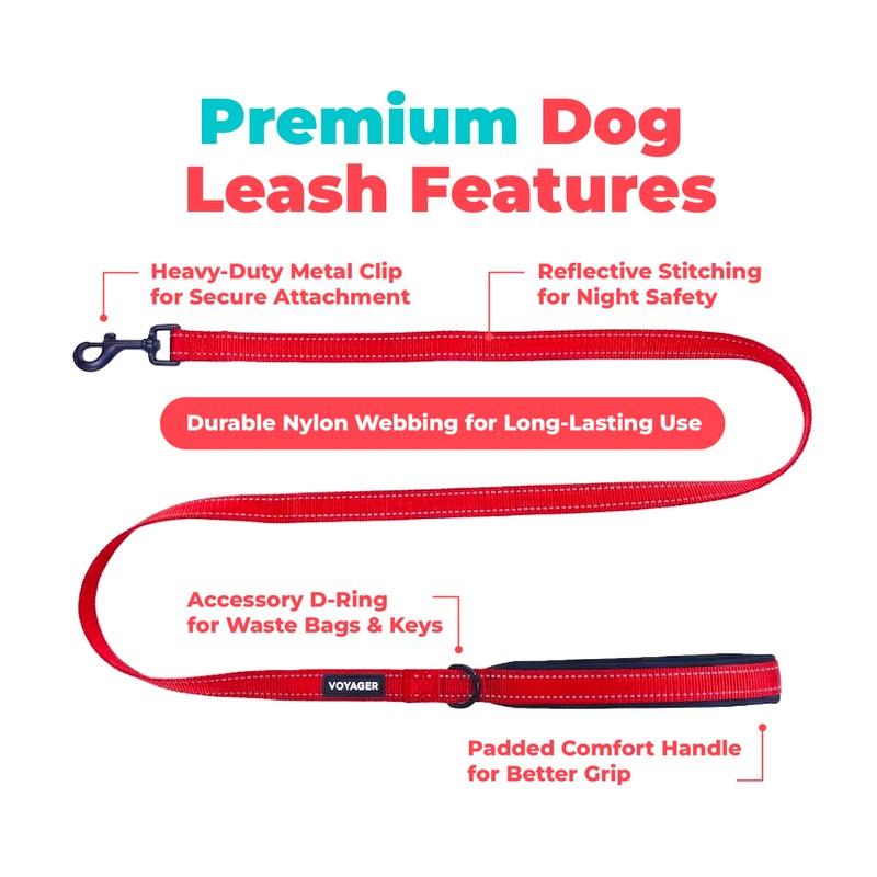 Best Pet Supplies Voyager Nylon Dog Leash - Red, Small