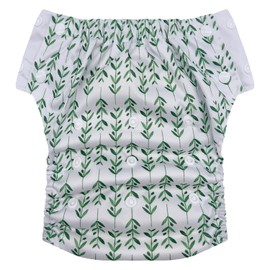 Hybrid Cloth Diaper - Reusable Training Pants, Swim Diaper, Special Needs Briefs, Fits from Baby up to 10 Years (Size 3, Leaves)