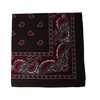 Motique Accessories Two Tone Paisley Bandana Black
