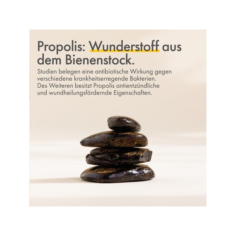 Propolis PUR Lip Care - Natural Lipstick for Dry and