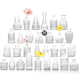Mini Glass Bud Vases, Set of 30 Small Flower Vases in Bulk Design for Wedding and Home Centerpiece Decoration