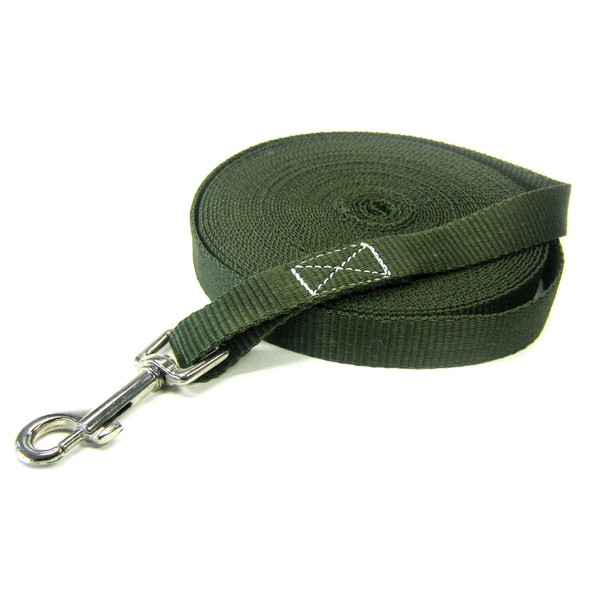 Iapyx® 10M Dog Recall Lead Length With Hand Loop And