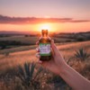 Aceite de Caléndula Natturall: El Apapacho de la Naturaleza para