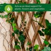 Expandable Plant Climbing Lattices Extensible Pine Fence Plant Support for