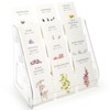 TrendTrust 4 Tier Card Display Stand, Trading Greeting Card Display