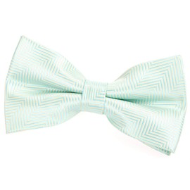 Retreez Herringbone Stripe Woven Pre-tied Bow Tie (5") - Mint Green