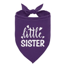 Little Sister Dog Shirt & Bandana, Gender Reveal Plaid Scarf Accessories, Small/Medium Dog (B28)
