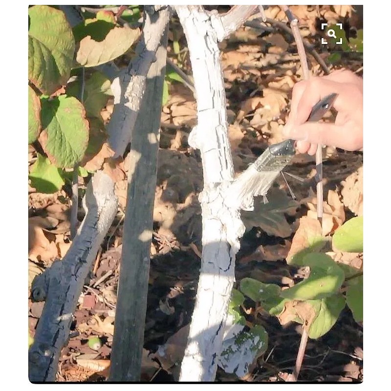 IV Organic White Wash, 1 Pint (BROWN)