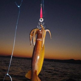 Luminous Squid Jig Hooks - Saltwater Squid Fishing Lures | LED Fishing Light Underwater Flasher Light | Squid Jig Hook Kit, Electronic Squid Lure Light Hook for Underwater Sea Fishing