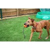 *NEW* HAPPYPET ATOMIC GALACTIC TOUGH DURABLE DOG PUPPY BALL ON