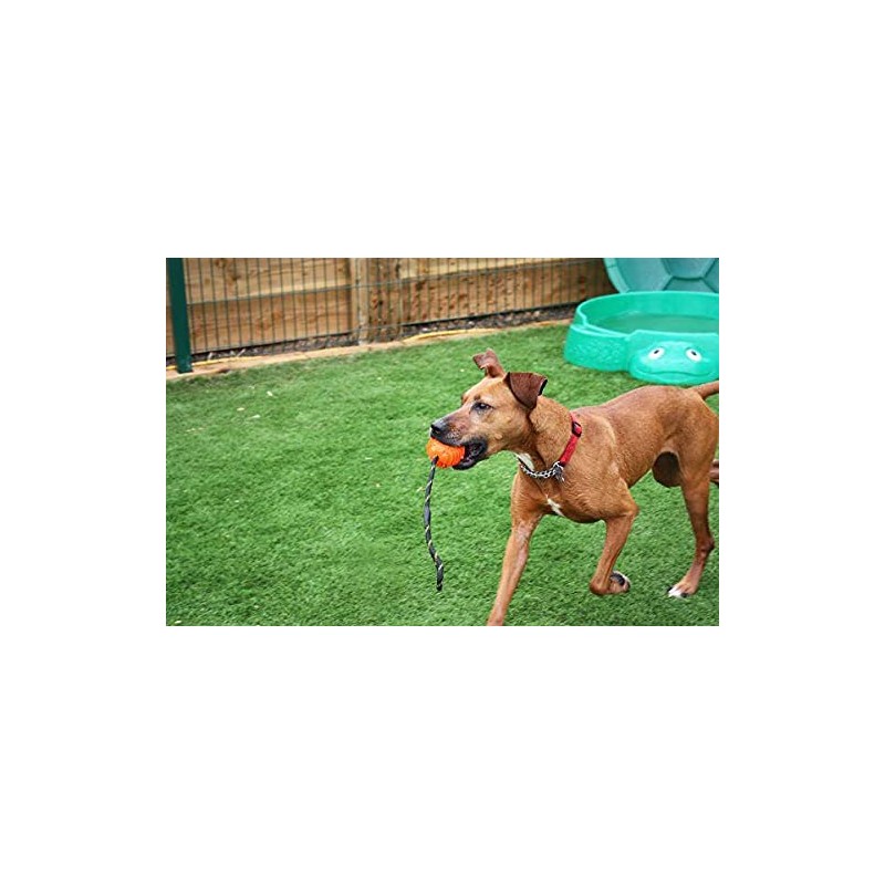 *NEW* HAPPYPET ATOMIC GALACTIC TOUGH DURABLE DOG PUPPY BALL ON