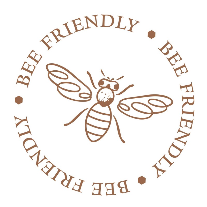 Root Candles 8217 Unscented Smooth Arista 12-Inch Dinner Candles, Ivory