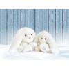 Histoire d'Ours HO2817 Lapin White 25 cm
