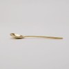 Horn Please by Recreational Vehicle BRASS Smooth Dinner Cutlery (Spoon)