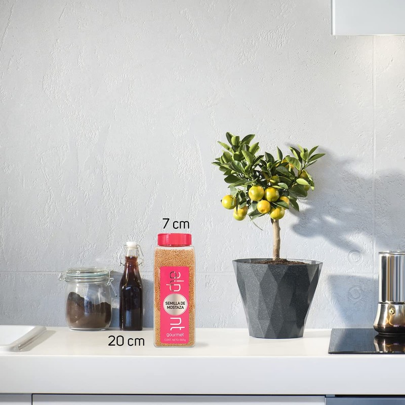 ALPONT GOURMET Semilla de Mostaza, 665 g