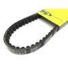 Drive Belt 17 x 732mm Fits Piaggio Sfera NSL1T, Zip