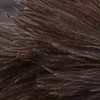 Fluffy Natural Ostrich Feather Duster Wooden Handle Household Cleaning Tool