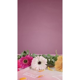 Kit Shampoo Anticaída Y Acondicionador Secreto Herbal 1l