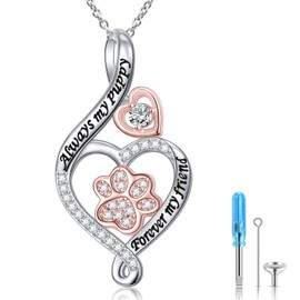 DAOCHONG 925 Sterling Silver Pet Urn Necklace Paw Print Memorial Ash Jewelry with Filling Kit