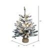 Vickerman 24" Flocked Anoka Pine Artificial Christmas Tree, Warm White