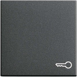 55/an Wippe "Tür" System 55 anthrazit