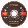 Amtech V0300 115mm 60 grit Flap disc