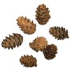 DOITOOL Set of 50 Dried Pine Cones Decorative Artificial Pine