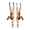 Jungle Hanging Monkey Cutout Set - Party Decor - 2