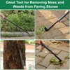 49.2” Long Handle Crack Weeder, 3 Adjustable Length Crevice Weeding