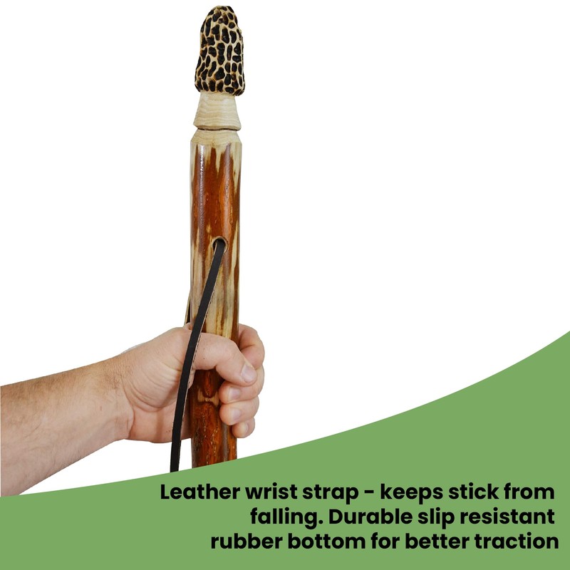 Walking Stick + Morel Mushroom Hunting Stick + Hand Carved