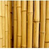 Backyard X-Scapes Natural Bamboo Fencing Decorative Rolled Fence Panel 0.75