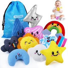 teytoy Sensory Bean Bag Toys for Autism, 10 Fidget Weather Theme Texture Sensory Toys with Storage Bag, Special Needs Developmental Toys Develop Fine Motor Sensory Play for Toddlers Baby Boys Girls