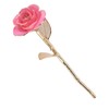24K Gold Rose Dipped Golden Leaves Girlfriend Wife Valentine's Day