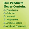 Biokleen Bac-Out Stain Remover for Clothes & Carpet - 128