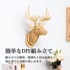 HINH Deer Object, Wall Decoration, Animal Head, Scandinavian Style, Japanese