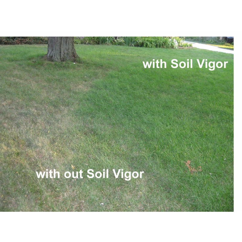 Enhanced Soil and Plant Health for 7 Years: Potassium Polymer