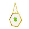 Clovers Online Genuine Four Leaf Clover Gold Brass and Glass