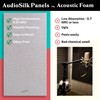 AudioSilk Acoustic Panels, 2 Pack, Large, 46" x 23", Black