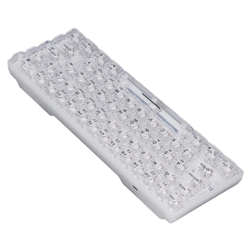 61 Keys Transparent Mechanical Keyboard Clear Keycap Wired Gaming Keyboard