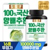 Sunsu Food 국산 양배추환 1병 Domestic Cabbage Pills 1 Bottle