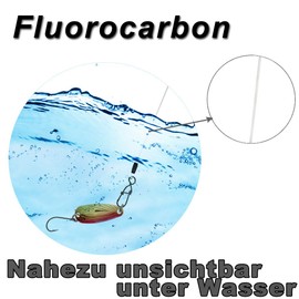 Fluorocarbon Leader - 12 x Predatory Fish Leaders, Spin Leaders for Spin Fishing, Pike Leader for Pike Fishing (30 cm)
