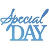 Couture Creations Sentiment Mini Dies SPECL, us:one size, Special Day