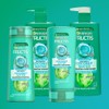 Garnier Fructis Coconut Water Shampoo 315mL