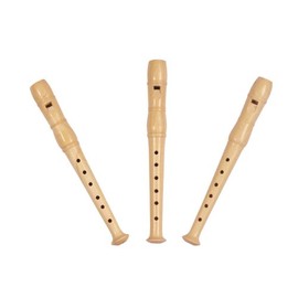 Mini-recorder