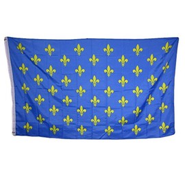 3x5 50 Fleur De Lis Blue French France Rough Tex Knitted Flag 3'x5' Banner