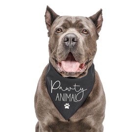 Pawty Animal Dog Bandana | 100% Cotton Tie Dye| Made in USA | Birthday Pawty | Party Theme | Celebration Supplies | Photoshoot Prop | Girl Boy | One Size | Rainbow Scrunch (384)