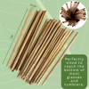 Banana Leaf Straws for Cold Drinks | Plastic Free |
